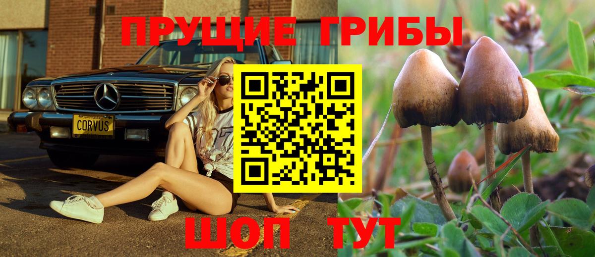 Псилоцибиновые грибы мухоморы  Псилоцибиновые грибы мицелий  Вход с VPN  Ярцево 
